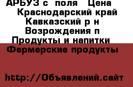 АРБУЗ с  поля › Цена ­ 8 - Краснодарский край, Кавказский р-н, Возрождения п. Продукты и напитки » Фермерские продукты   